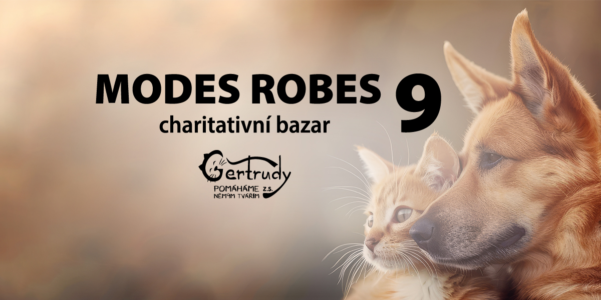 Napsali o naší akci na www.pribram.cz, pro čtení stačí rozkliknout tento odkaz